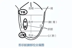 中医总是让你伸舌头，这才是人体健康的晴雨表，比脉象更准图片