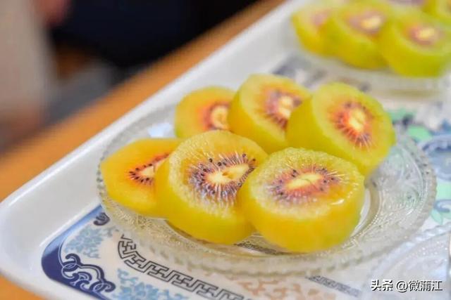 “骑”遇惊喜，快来成都蒲江“醉氧”绿道，开启你的追风之旅！