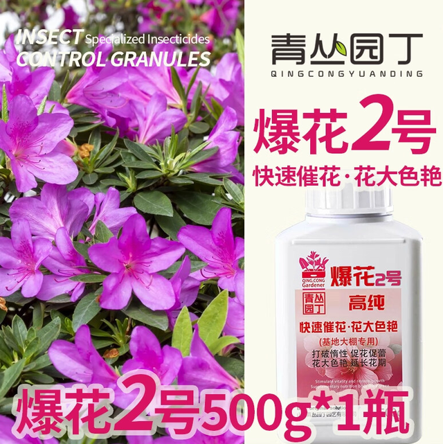 家中花卉"只长叶子不开花"？全面解析原因与破解之道
