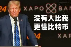 美国比特币的三驾马车：特朗普、马斯克、微策略和贝雷德图片