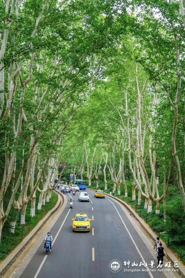 国庆中秋自驾去热门景区，先来看路线指引哦~
