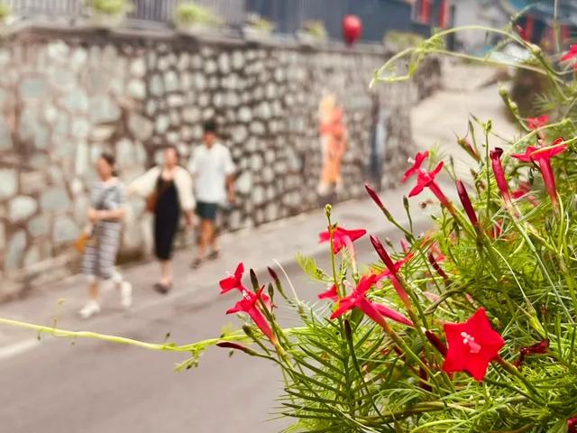 “花漾”漫染千年古道!模式口以繁花织就京西生态人文画卷