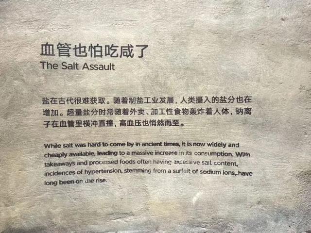 上海科技馆焕新升级，今天面向公众开启首场压力测试！小布带你探营→