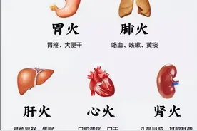 肝火、胃火、心火大？四个超猛泻火药，便宜又好用，建议收藏！图片