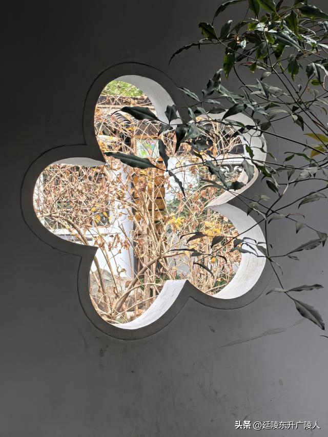 冬游如皋水绘园 亭台楼阁才子佳人水相会 匠心独运天地人造似天成