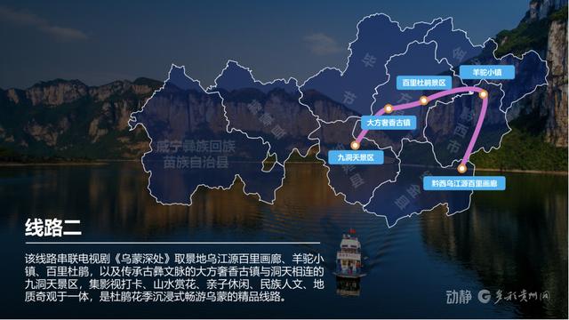 毕节四条精品赏花线路发布，邀你共赏繁花盛景