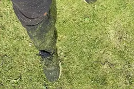 少 华：我的父亲节是这样过的图片