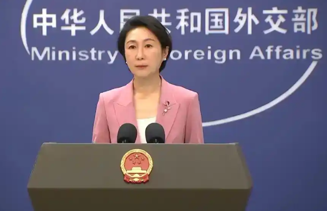 9.3阅兵前，德外长联手日本施压，不许中方做3件事，毛宁8字定性