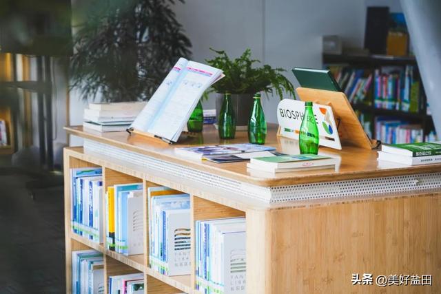 在盐田看海上运动，还能这样玩！