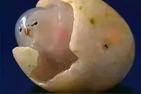 中国十大最贵排行榜，真是开眼界，看一眼都赚到了！图片