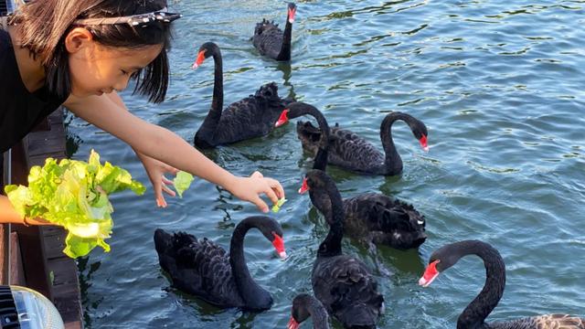 福利来了!五月天专场点歌、酒店美食、超级客房!抢→