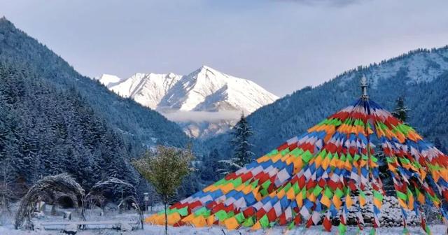 不止4860米！达古冰川“海拔梯度”漫游指南