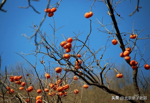 少有人知道的秋季徒步路线，还有太监墓