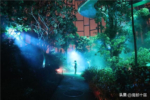 抢先探营“温室奇妙夜”上海温室花园将于7月26日开启夜游模式