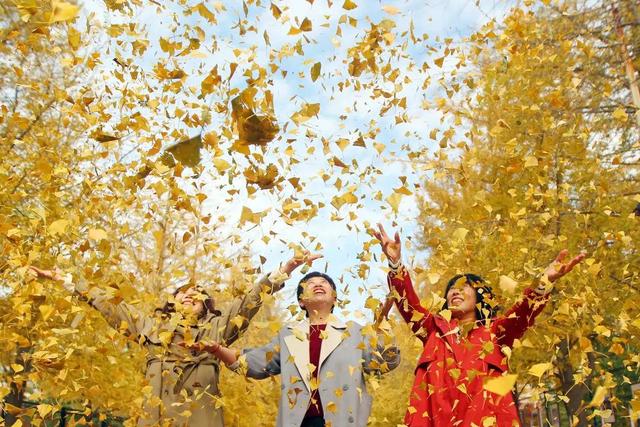 沈阳这些地方太美了!赏秋倒计时,错过等一年!