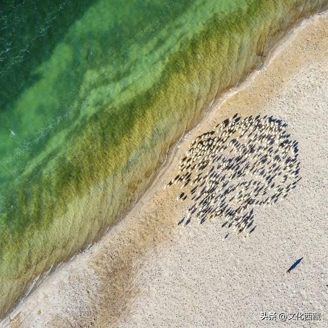 去过的都说难以忘怀！西藏阿里中北线，有生之年至少要去一次！