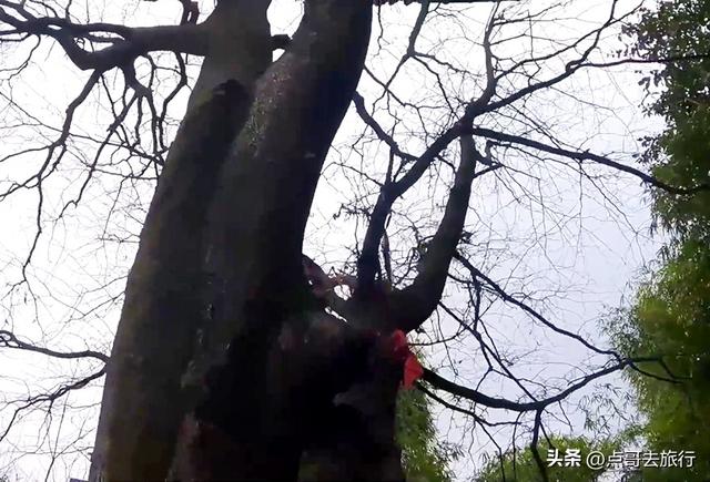 成都龙泉驿海拔最高的寺庙，神秘中透着苍凉，不要门票！