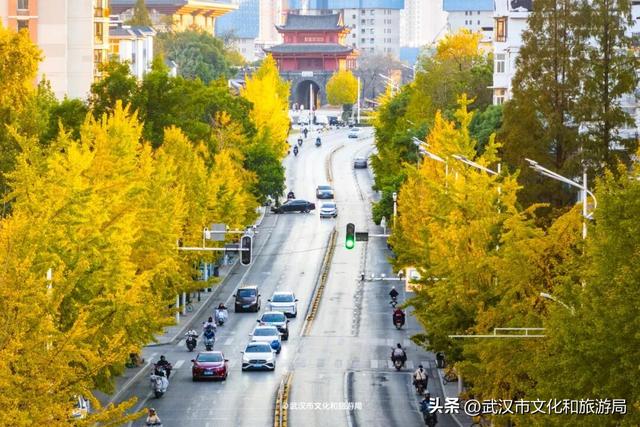 限时绝美！武汉街头颜值巅峰，地铁直达
