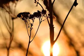 年末了，感谢自己，感恩所有遇见图片