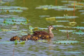 美丽河湖+15！河北最新公布图片