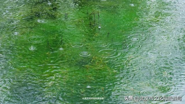 出门！今天来武汉，就是下江南