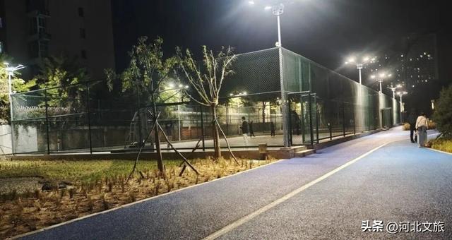 实拍!秦皇岛家门口的免费好去处,这个百亩湿地公园晚上也能逛~