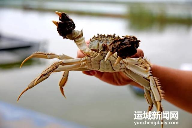 热情满格！国庆假期第四日，运城景区魅力不减！