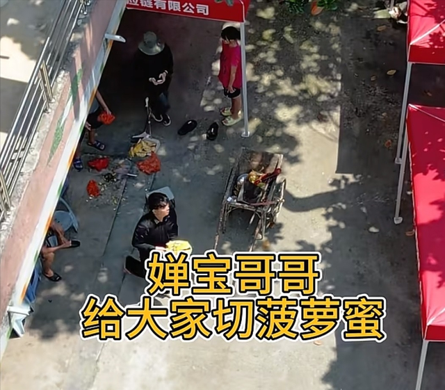 全红婵家几十年菠萝蜜树没了！爸爸为避台风忍痛砍树，老桩留院引网友心疼