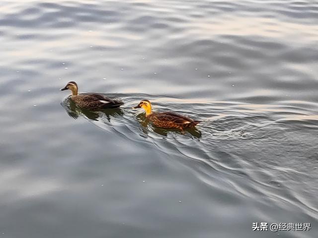 杭州那些古街巷里的故事——石塔儿巷（一）