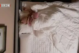 再用这个姿势睡觉，伤腰椎、毁颈椎，身体很快就废了！图片