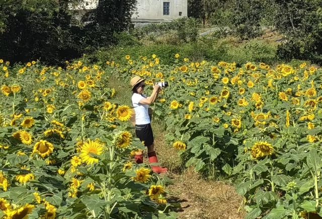 解锁秋日限定浪漫！这片“动人色彩”等您来打卡