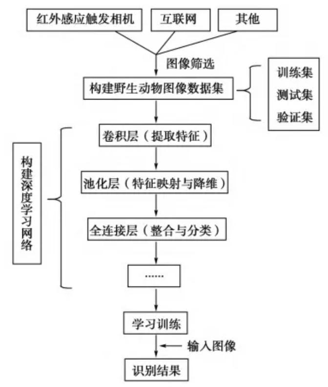 AI辨猴脸、卫星追羚牛!科学家如何激活成功教程”安能辨我是雄雌”难题?插图17 AI辨猴脸、卫星追羚牛!科学家如何激活成功教程"安能辨我是雄雌"难题?