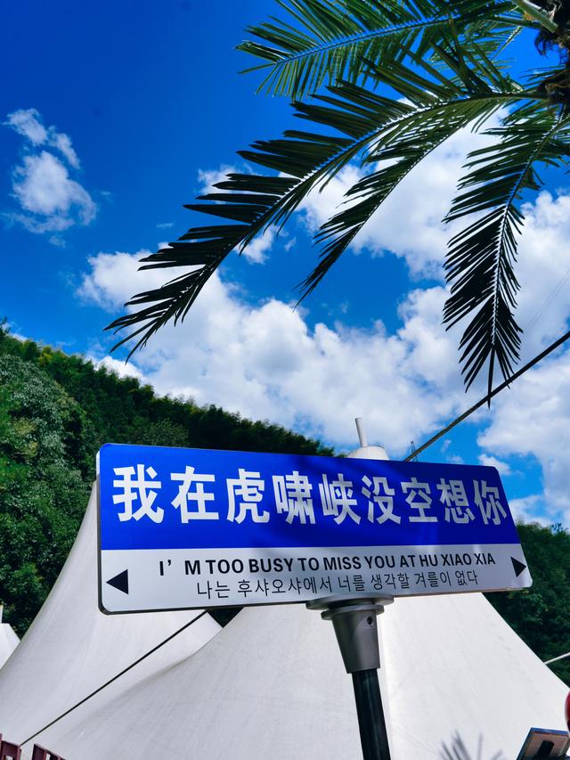 湿身尖叫！桐庐虎啸峡“水陆双玩”才是顶配王炸