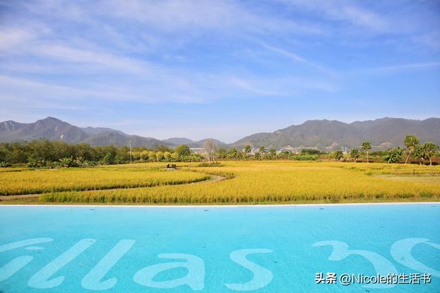 稻浪浸温汤，古村藏清欢