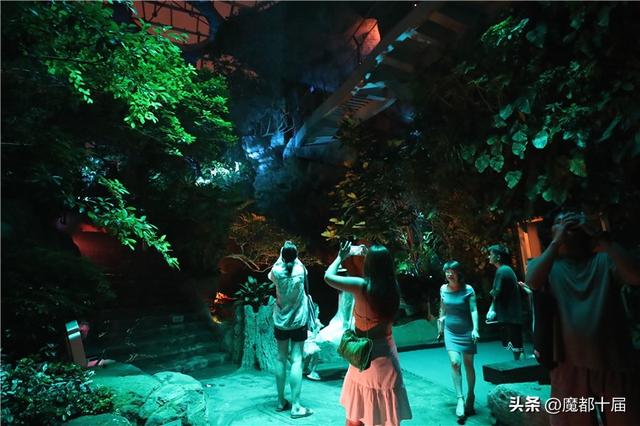 抢先探营“温室奇妙夜”上海温室花园将于7月26日开启夜游模式