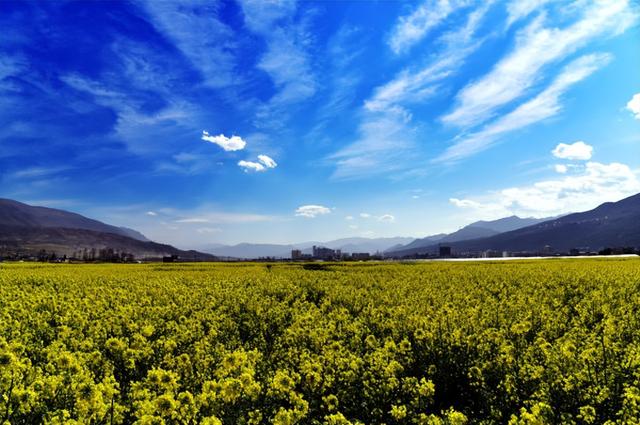 四川省越西县历史沿革及行政区划