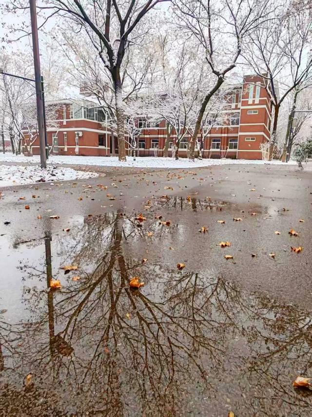 赴一场校园雪约，猜猜哪栋是你的 “温暖小窝”