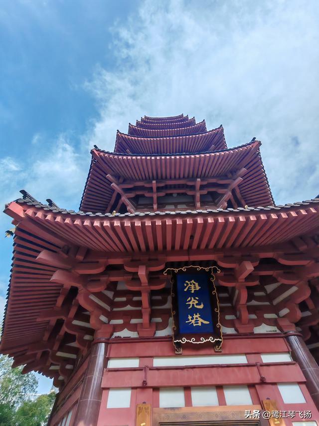 2025年国庆游温州（一）