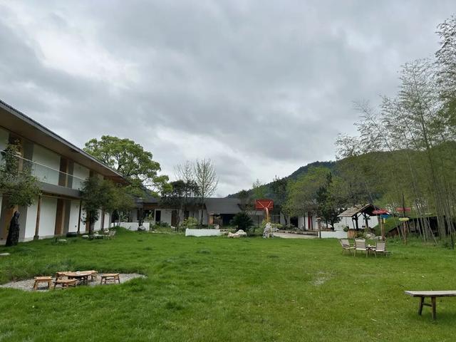 住山舍、寻茶趣、探自然！武夷山的康养时光，尽是自在与松弛