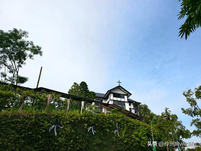 马来西亚(35)砂拉越州⑨峇哥国家公园徒步线路