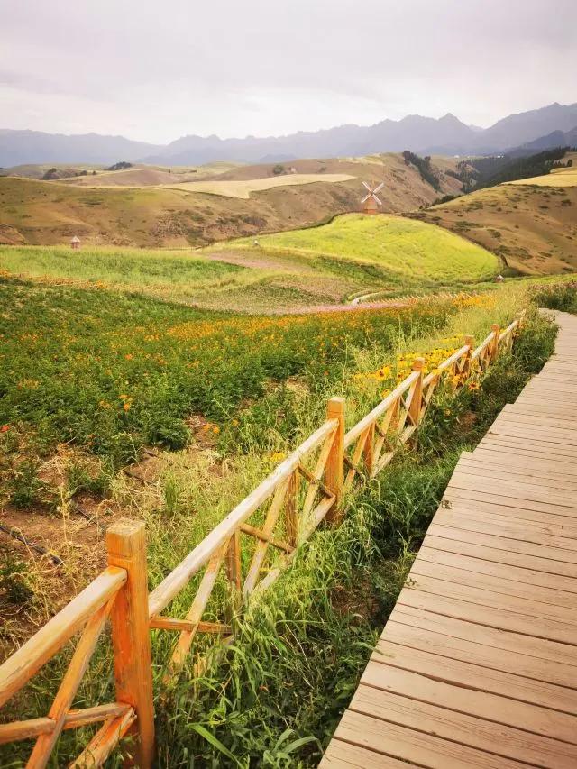 新疆草原去哪儿好,一个被严重低估的5A级秘境,江布拉克旅游攻略