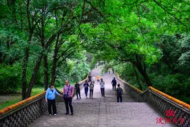 【视觉沈阳】旅游来沈阳 夏日享清凉图片