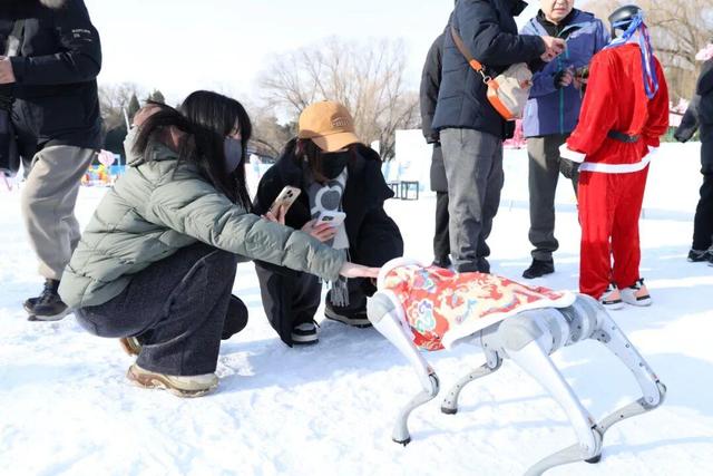 80米超长冰滑梯又双叒来啦！还有企鹅巡游