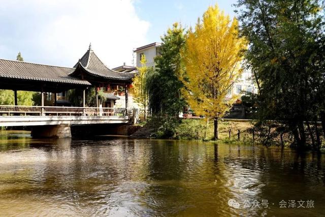 以礼初冬，树染波心山街色 蒋加祥/图