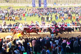 贵州“村马”狂飙出圈，背后的退役军人是他们！图片