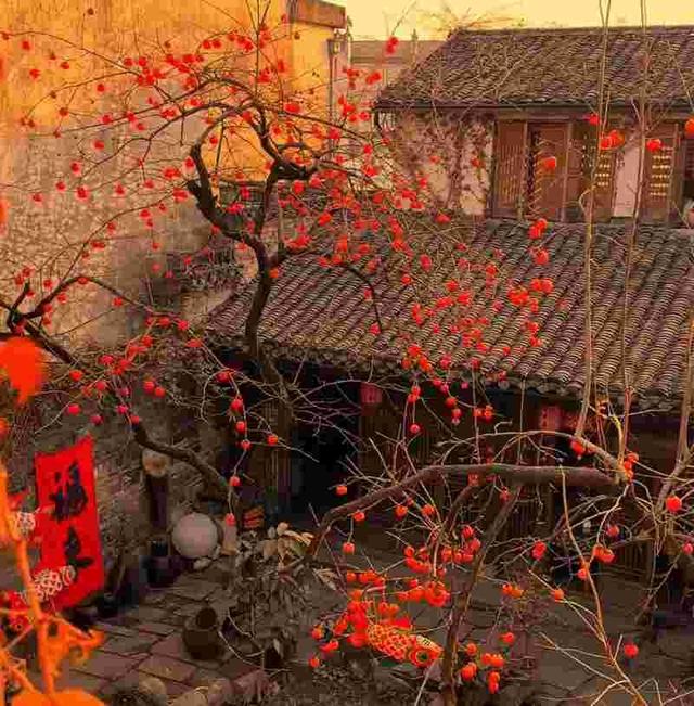 我是扬州人，去了河北张家口，不吹不黑，张家口比网上评价还要好