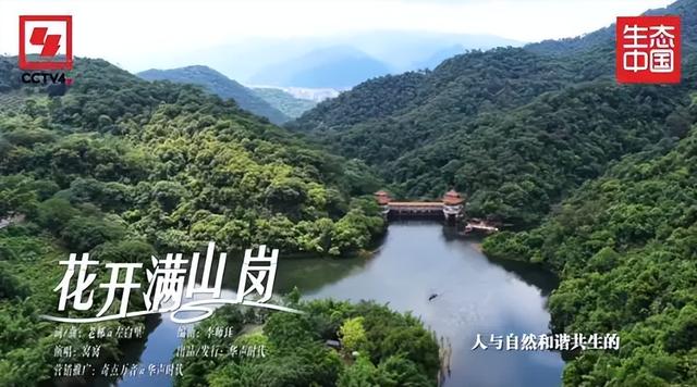 央视《生态中国》聚焦肇庆，解锁山水名城的绿色密码