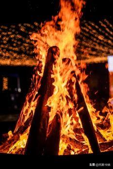 “爪爪心愿·暖冬童话夜”圣诞亮灯温情启幕萌宠与爱共绘冬日美好