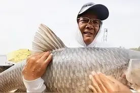 中国钓鱼运动协会终身荣誉大师都有谁？图片