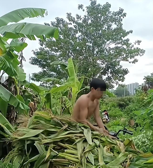 广西体育生宁宇华离世！年仅17岁，长相帅气，死因惋惜母亲太绝望